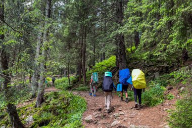 Sırt çantalı bir grup turist yaz aylarında dağ orman yoluna tırmanırlar. Arka plan
