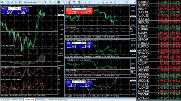 Devisenhandel auf Handelsplattform-Notierungen — Stockvideo