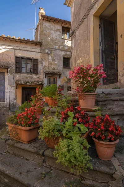 Cityscape Flowers Medieval Town Calcata Vecchia Italy — Stock Photo, Image