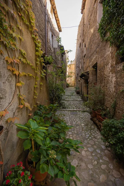 Estrecha Calle Adoquinada Ciudad Medieval Calcata Vecchia Italia —  Fotos de Stock