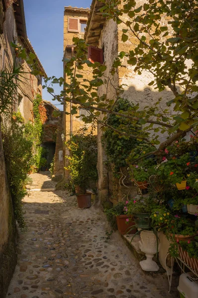 Úzká Dlážděná Ulice Středověkého Města Calcata Vecchia Itálii — Stock fotografie