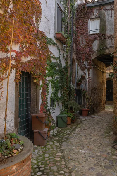 Smalle Geplaveide Straat Van Middeleeuwse Stad Calcata Vecchia Italië — Stockfoto