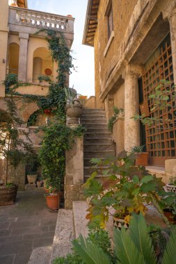 Ortaçağ Orte şehrinin dar sokakları İtalya 'da