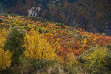 Parlak renkler Sonbaharın ortasında İtalya 'daki Abruzzo dağlarında
