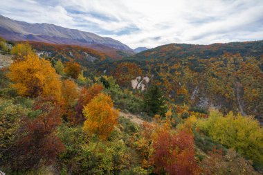 Parlak renkler Sonbaharın ortasında İtalya 'daki Abruzzo dağlarında