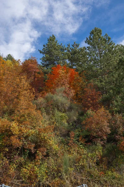 Leuchtende Farben Mitten Herbst Den Abruzzen Italien — Stockfoto