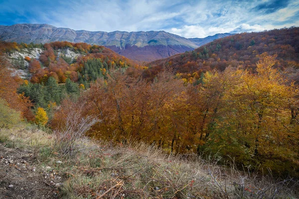 Couleurs Vives Milieu Automne Dans Les Montagnes Des Abruzzes Italie — Photo