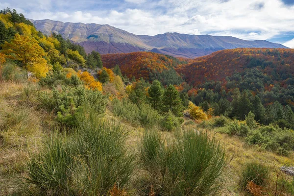 Couleurs Vives Milieu Automne Dans Les Montagnes Des Abruzzes Italie — Photo