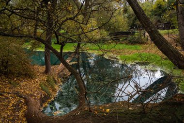 Lavino 'da sonbaharda Abruzzo, İtalya' da sülfürlü su kaynağı görüntüsü