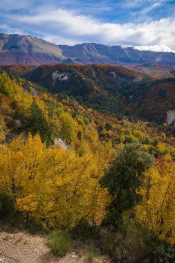 Parlak renkler Sonbaharın ortasında İtalya 'daki Abruzzo dağlarında