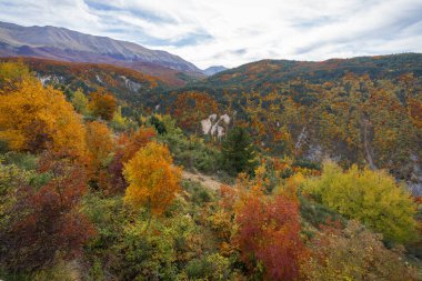 Parlak renkler Sonbaharın ortasında İtalya 'daki Abruzzo dağlarında