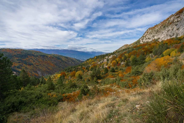 Couleurs Vives Milieu Automne Dans Les Montagnes Des Abruzzes Italie — Photo