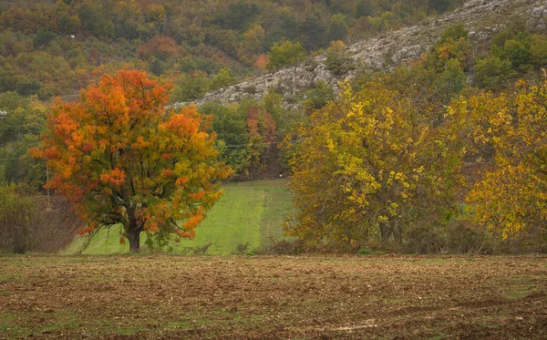 Autumn Colors Landscape Mountains Abruzzo Italy — Stock Photo, Image