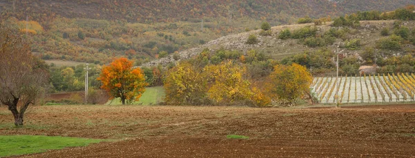 Höstfärger Landskap Bergen Abruzzo Italien — Stockfoto