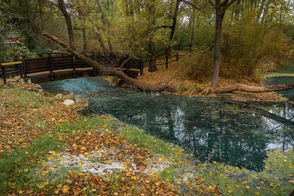 Image Sulphurous Water Springs Lavino Autumn Abruzzo Italy — Stock Photo, Image