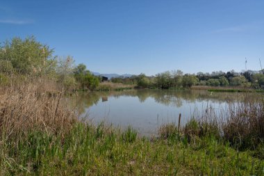 İtalya 'nın Farfa kentindeki Tiber yakınlarında kuş izleme arazisi