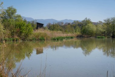 İtalya 'nın Farfa kentindeki Tiber yakınlarında kuş izleme arazisi