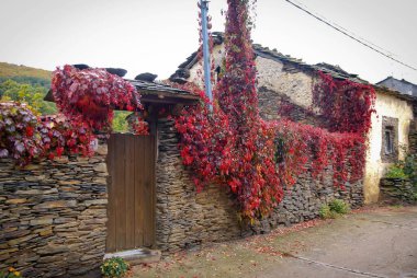İspanya 'nın Robleluengo' nun kara şehirlerinden birinde sonbahar manzarası