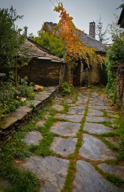 İspanya 'nın Robleluengo' nun kara şehirlerinden birinde sonbahar manzarası