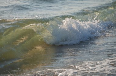 İtalya 'nın Sabaudia kentindeki Circeo parkındaki renkli deniz dalgalarını ve beyaz dalgaları yakından izleyin.
