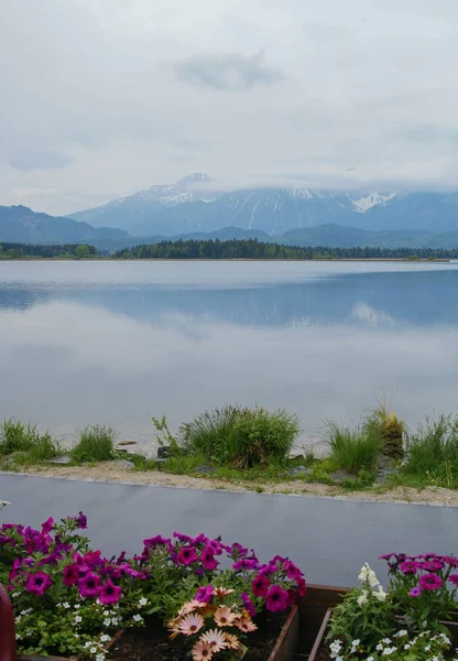 Landschaftliche Landschaft Mit See Und Blumen Bayern Deutschland — Stockfoto