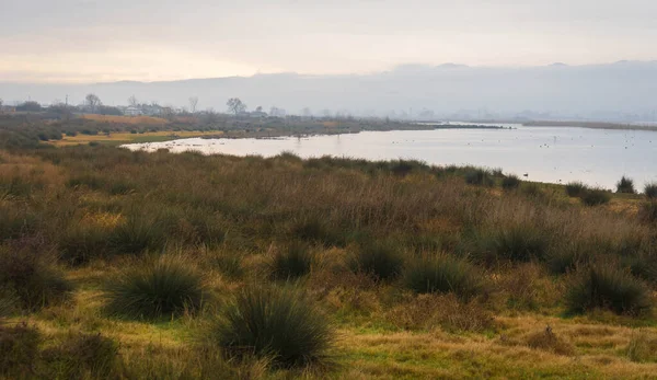 Landschaftlich Schöne Landschaft Mit Koroneia See Nordgriechenland — Stockfoto