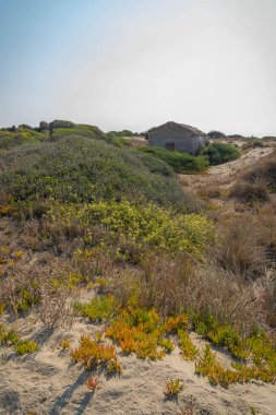 İtalya 'nın Torre Astura kentindeki kum tepeleri arasında çökmüş çatısı olan eski bir evin kalıntıları.