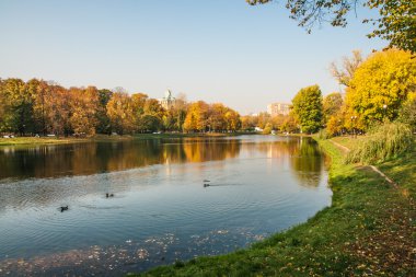 Moskova parklarında sonbahar