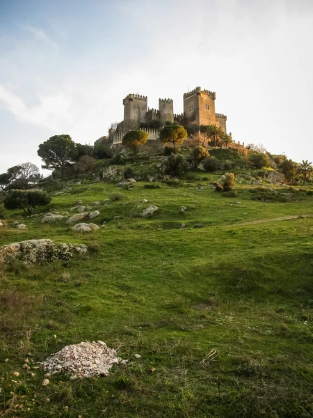 Castello medievale di Almodovar del Rio — Foto Stock