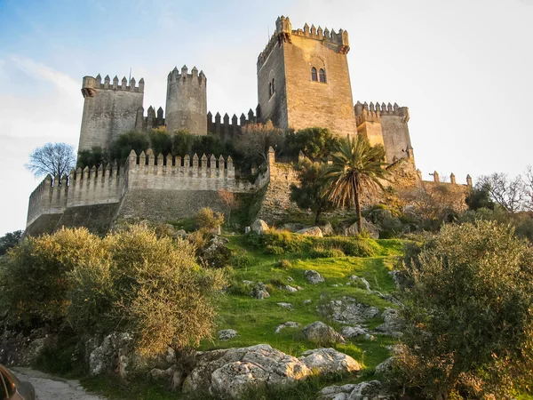 Régi Mansanares Castle — Stock Fotó