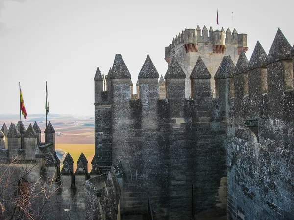 Средневековый замок в Альмодоваре-дель-Рио — стоковое фото