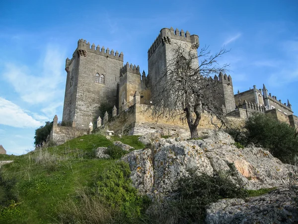 Середньовічний замок в Almodovar-дель-Ріо — стокове фото
