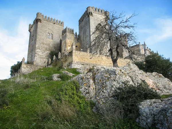 Medieval castle at Almodovar del Rio — Stock Photo, Image