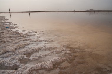 Rus Dead Sea