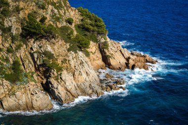 Tossa de mar