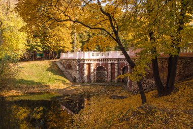 Moskova'da güzel sonbahar park