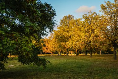 Slovakya parlak sonbahar