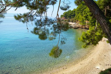 Brac Adası'nın güzel deniz kıyısı