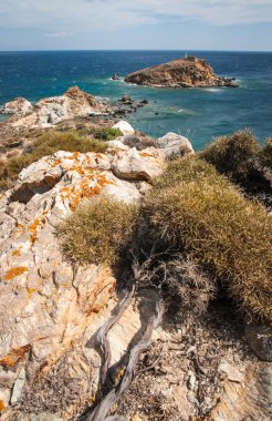 Euboea Adası'nın güzel deniz kıyısı,