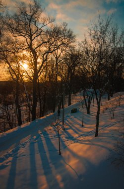 Arkhangelskoye Park'ta kış