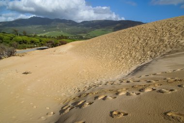 Sand dunes at Punta de la Paloma