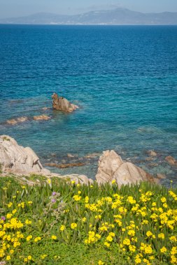 Mikonos Adası Yunanistan