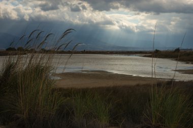 Moorland manzara Punta