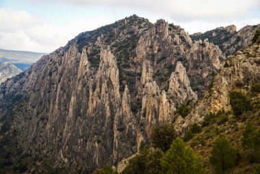 Los organos de Montoro Teruel içinde