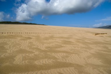 Sand dunes at Punta de la Paloma