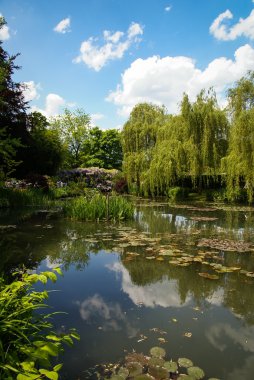 Bahar bahçeleri darbeydi