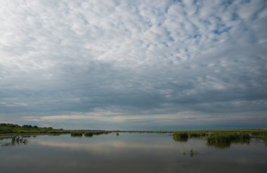 Orta Rusya'ya peyzaj