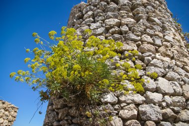 Moclin adlı bir kale kalıntıları