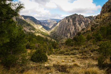 Los organos de Montoro Teruel içinde