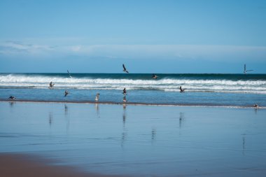 Catedrais Sahili pitoresk